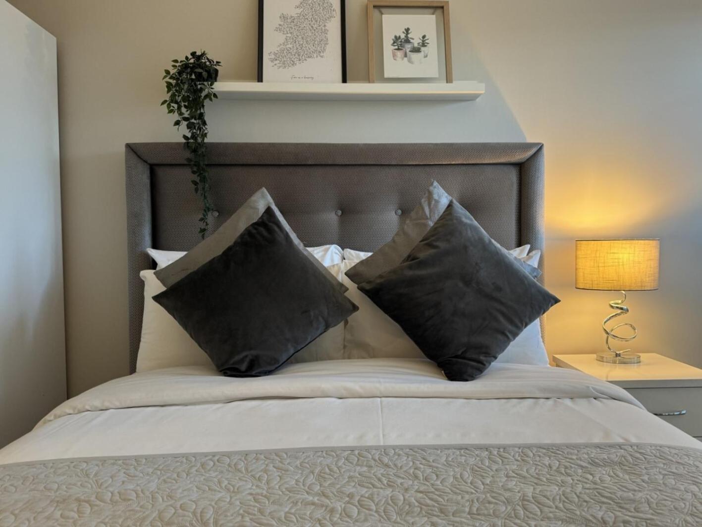 Central Belfast Apartments Sandford Zewnętrze zdjęcie